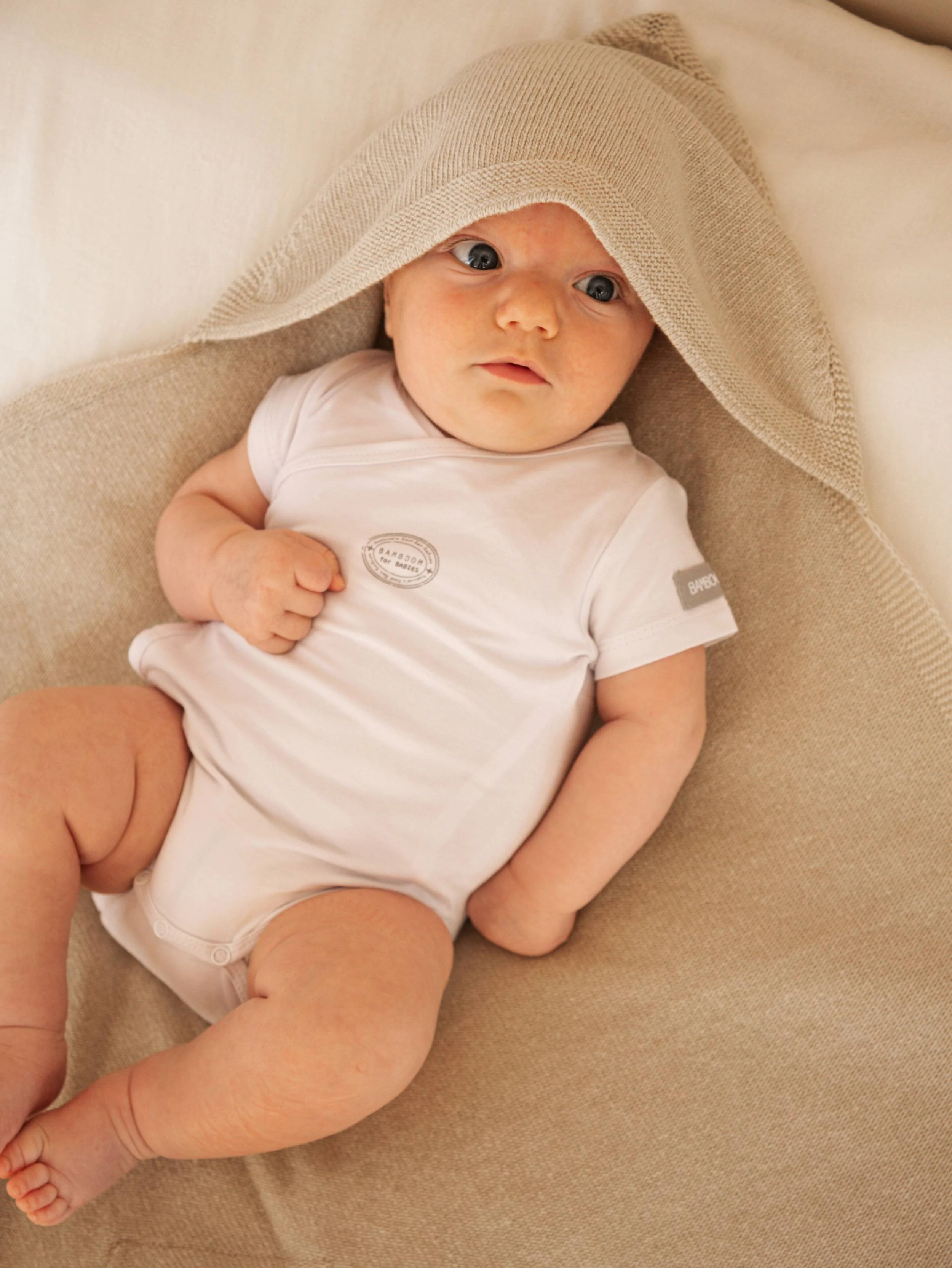 Copertina Wrap 4 stagioni con Cashmere - STONE SAND 505 - Image 6