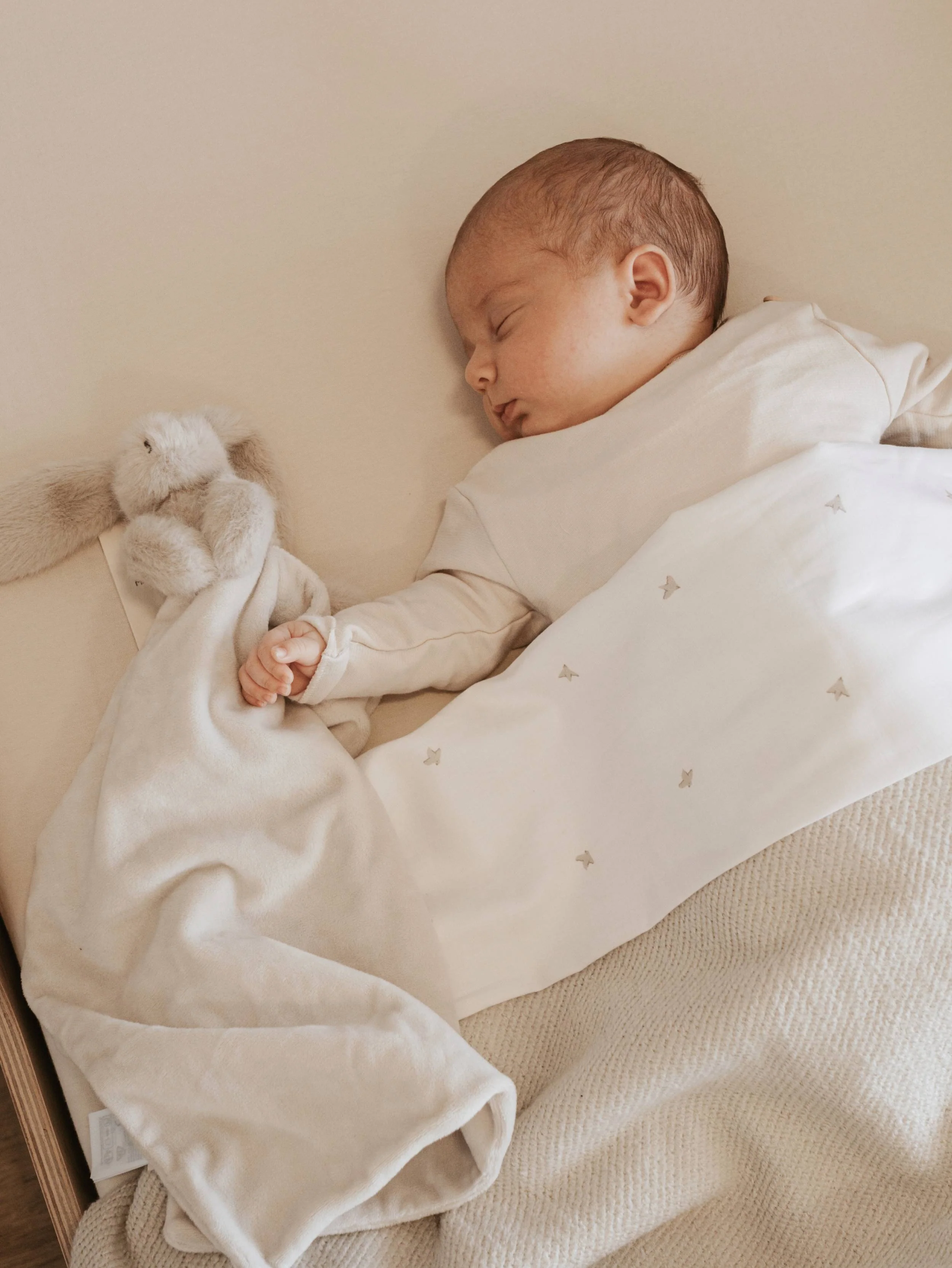 Doudou coniglietto - WARM GREY 34 - Image 5