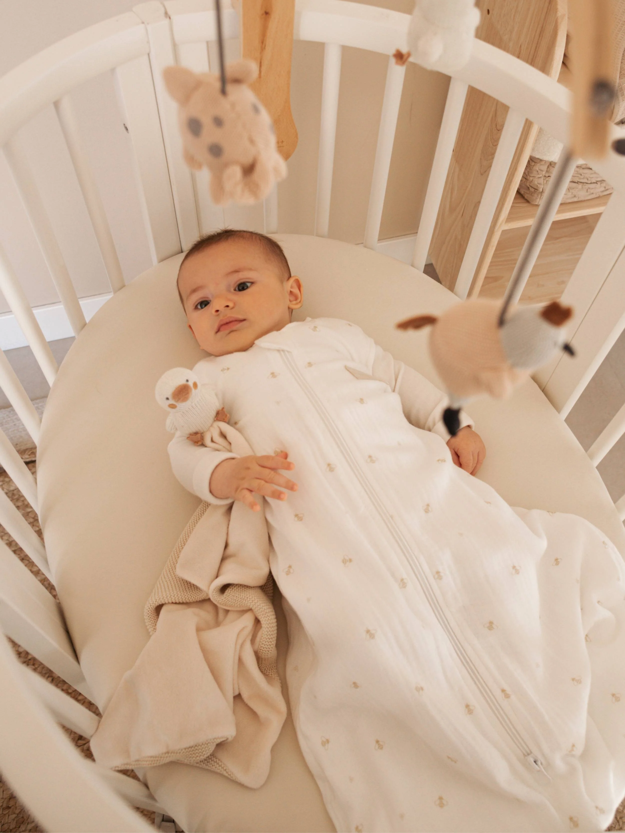 Doudou Paperella - WARM WHITE 128 - Image 4