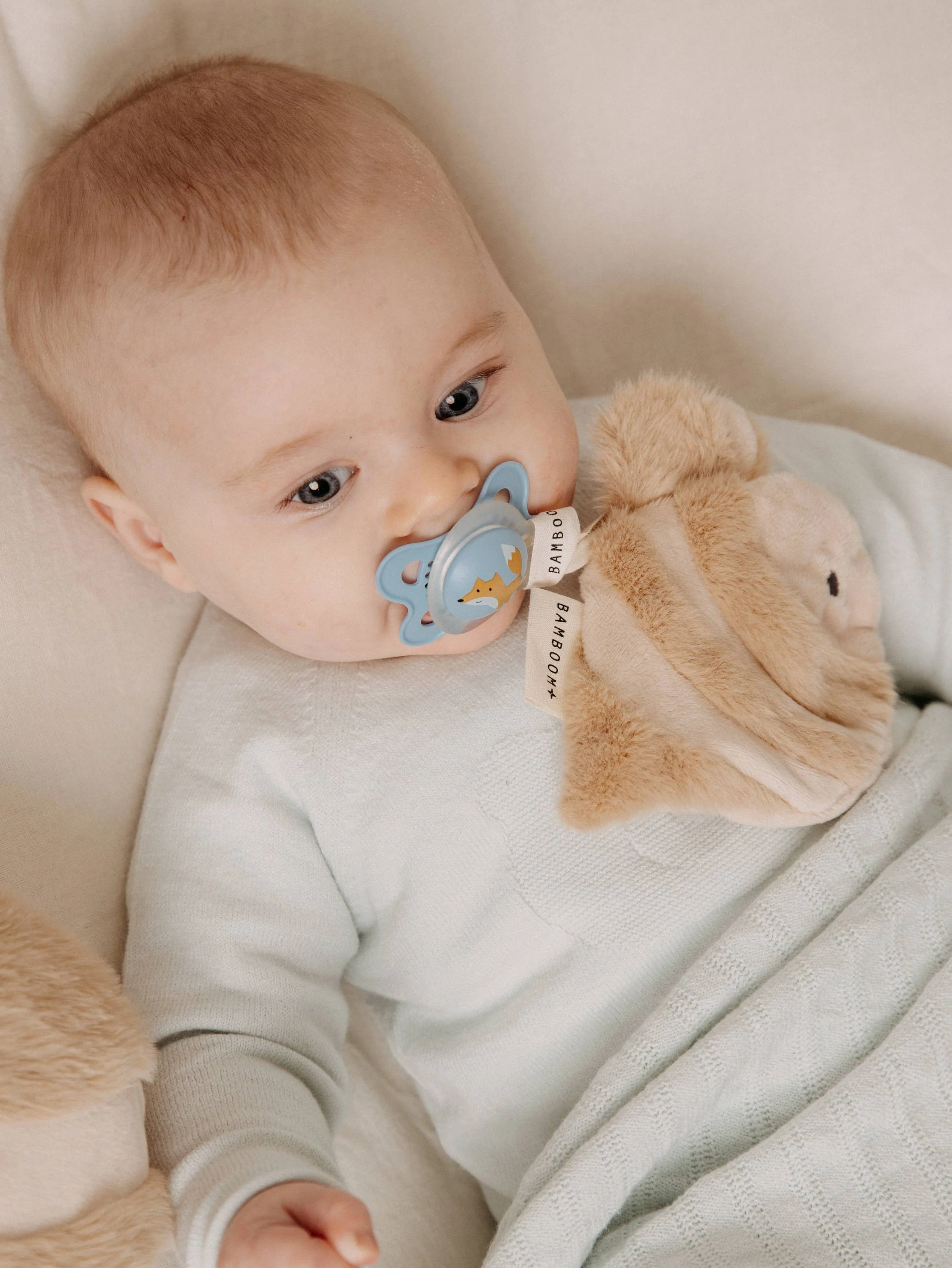 Portaciuccio peluche ape - SAND SHADES 473 - Image 3
