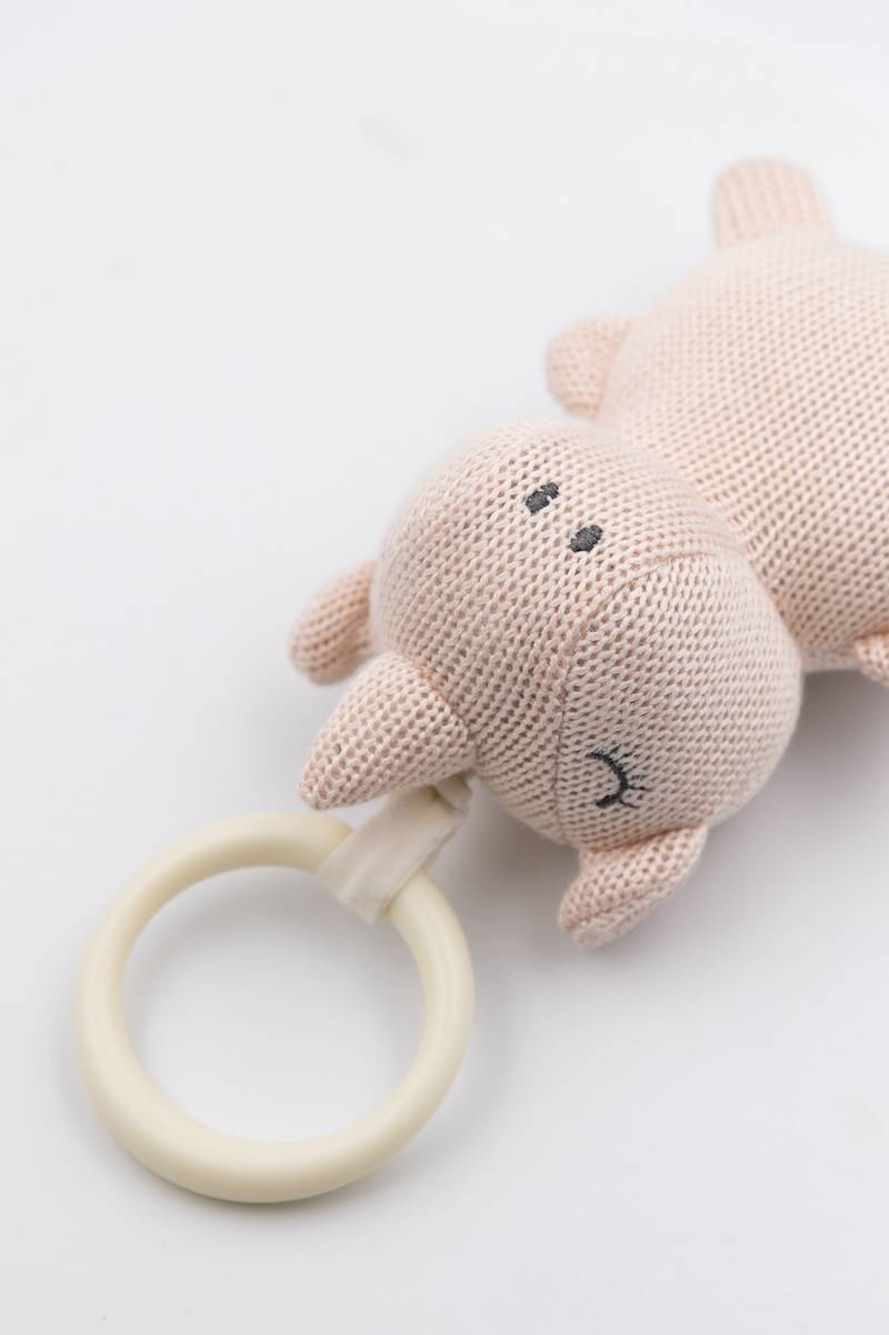 Pull & Shake toy rino - ROSA 04 - Image 3
